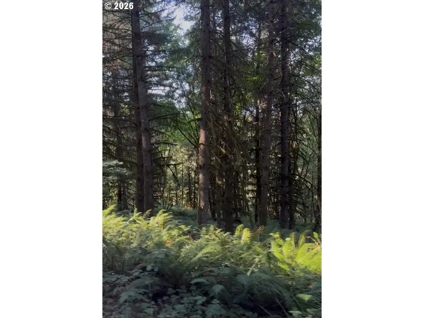 SW Finnigan Hill Rd, Hillsboro, OR 97123 - #3