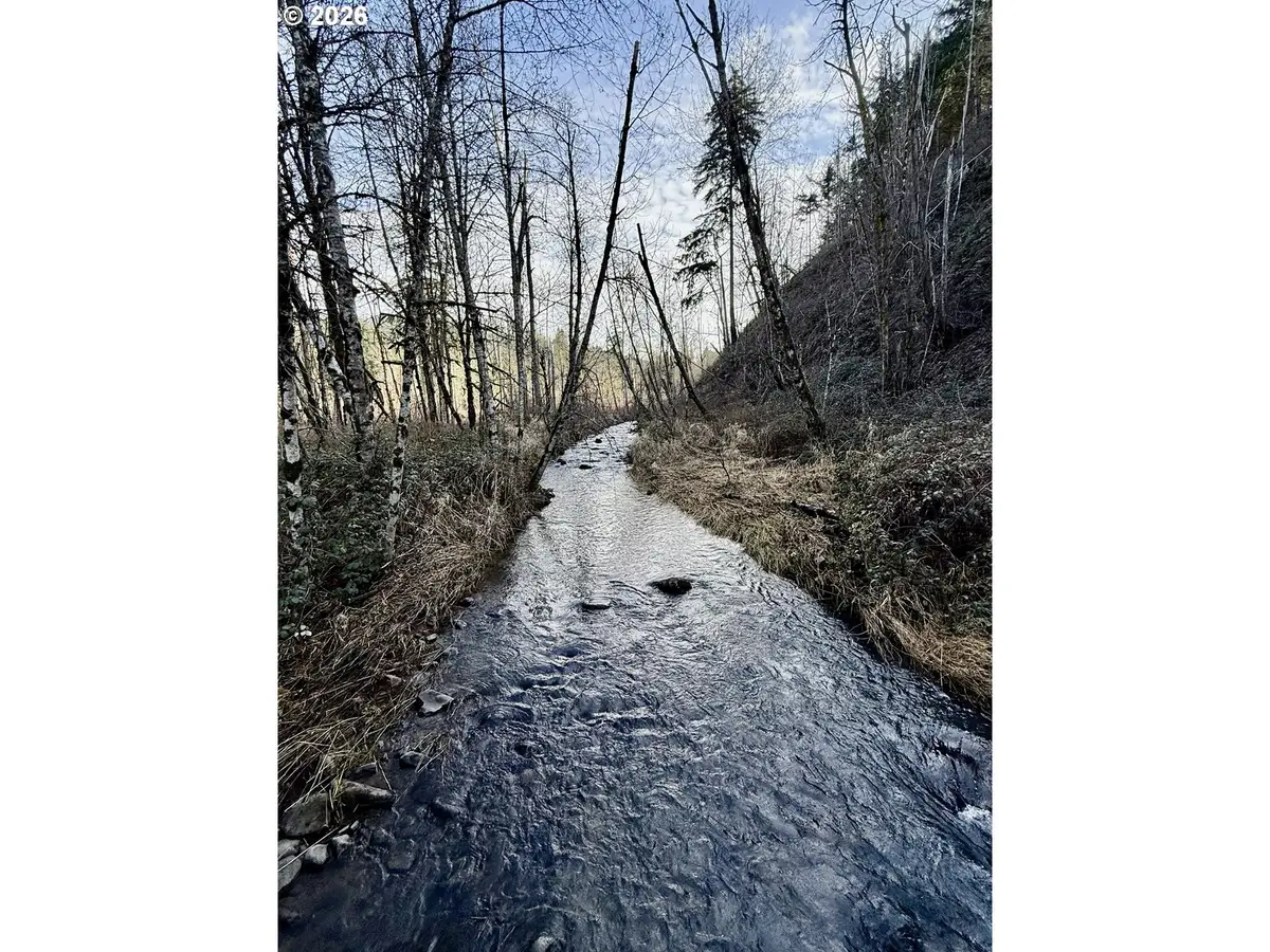 Butte Creek Crossing, Scottsmills, OR 97375 - #1