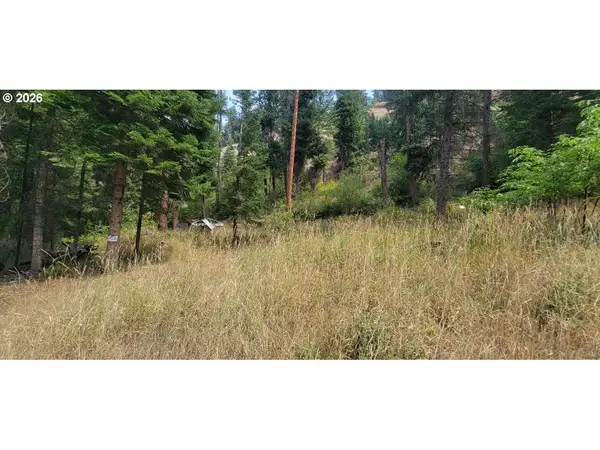 River Canyon Rd #TL 900, Imnaha, OR 97842
