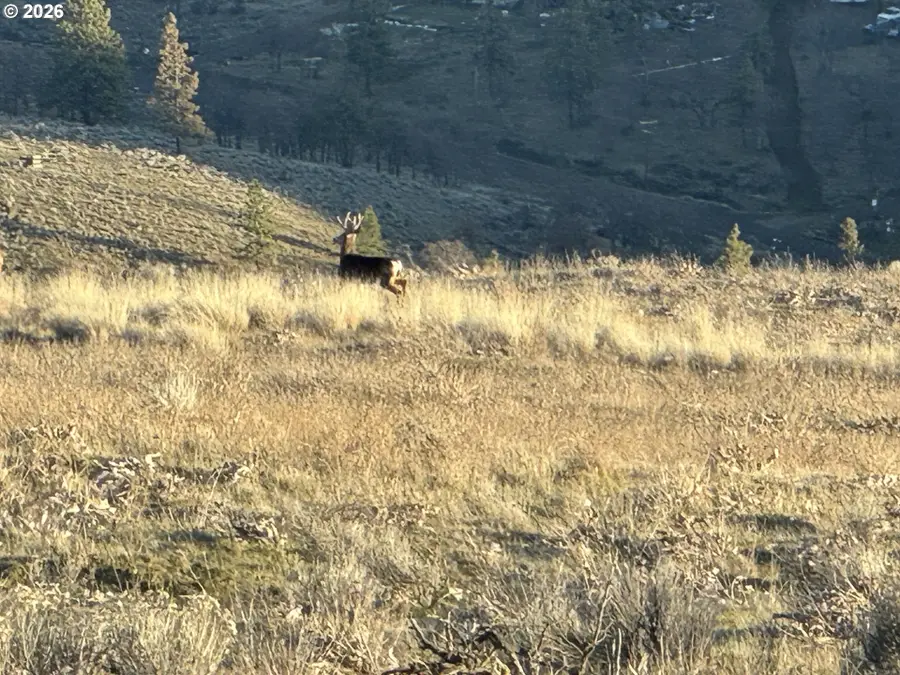 Vista Dr, Goldendale, WA 98620 - #2