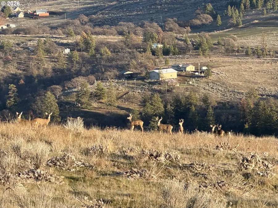 Vista Dr, Goldendale, WA 98620 - #3