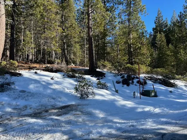 16 Clear Springs Way, Crescent Lake, OR 97733 - Image #2