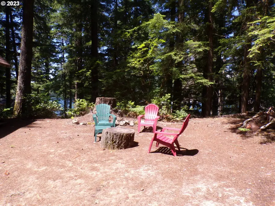 Cabin 44 Northwoods, Cougar, WA 98616 - #3