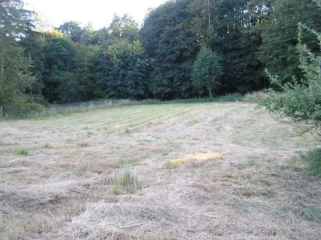 067851 Chimes Crest Rd, Saint Helens, OR 97051 - #2