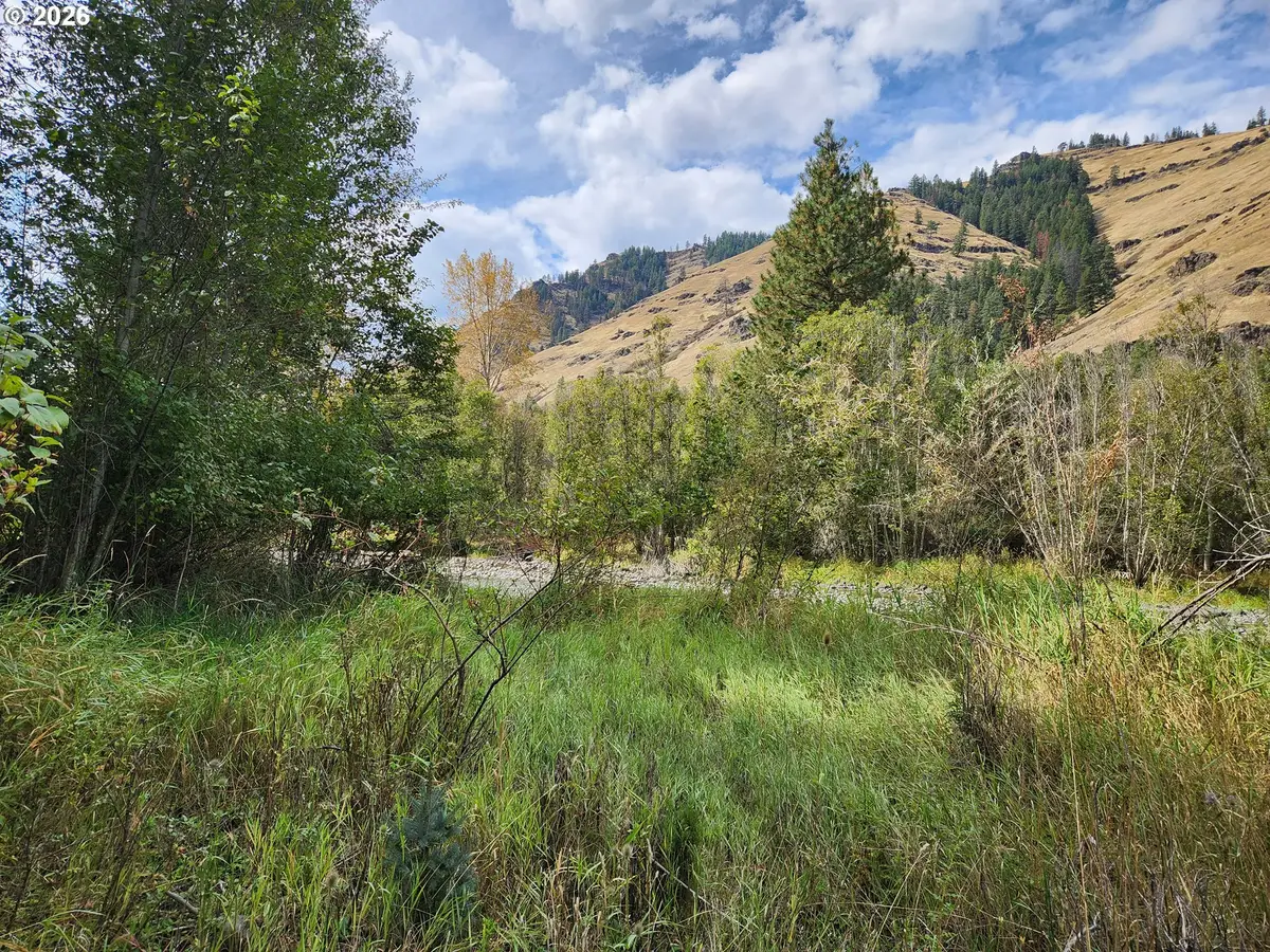 60152 River Canyon Rd, Imnaha, OR 97842 - #1