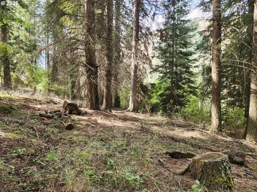 60152 River Canyon Rd, Imnaha, OR 97842 - #2