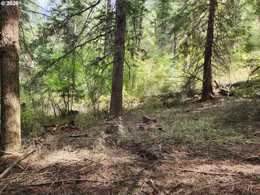 60152 River Canyon Rd, Imnaha, OR 97842 - #3