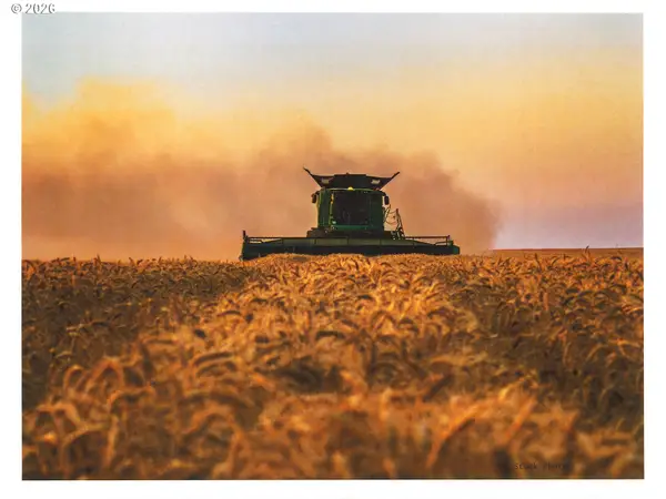 South Juniper Canyon, Helix, OR 97835