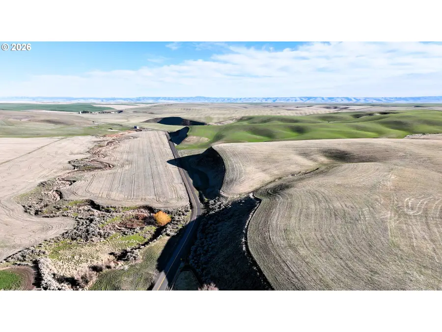 South Juniper Canyon, Helix, OR 97835 - #3