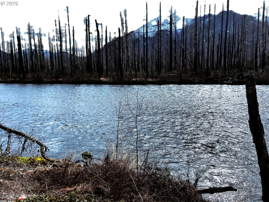 52633 Mckenzie Hwy, McKenzie River, OR 97413 - #3