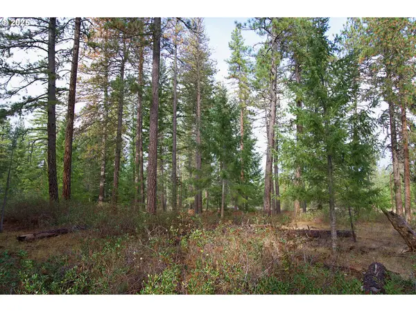 Lonesome Pines Dr #4, TroutLake, WA 98650