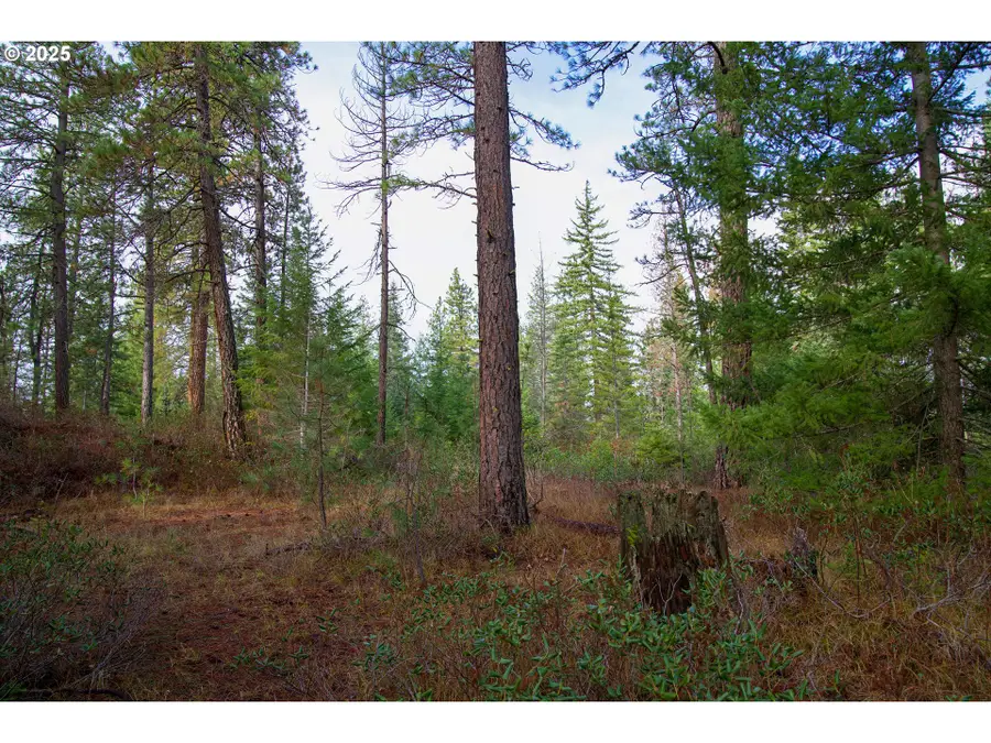 Lonesome Pines Dr #4, Trout Lake, WA 98650 - Image #3