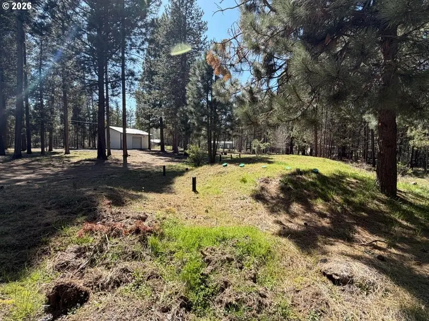 51377 Mitchell Rd, Sisters Millican, OR 97739 - #3