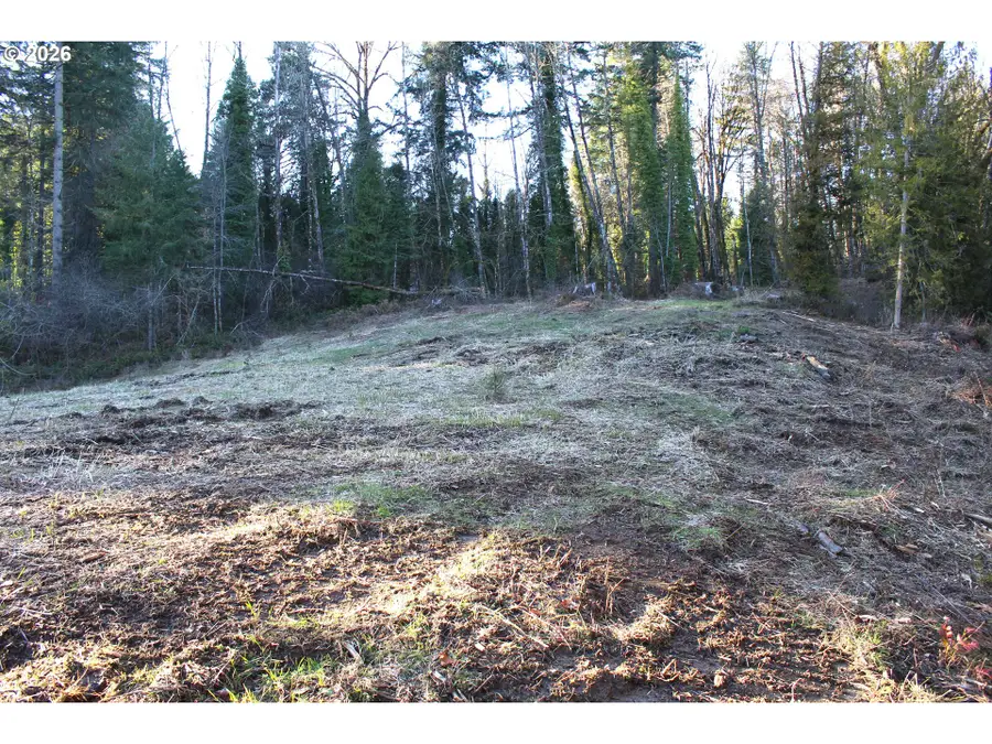 Siercks Rd, Scappoose, OR 97056 - Image #2