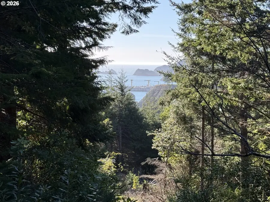 780 Quattomah Ln, Port Orford, OR 97465 - #2