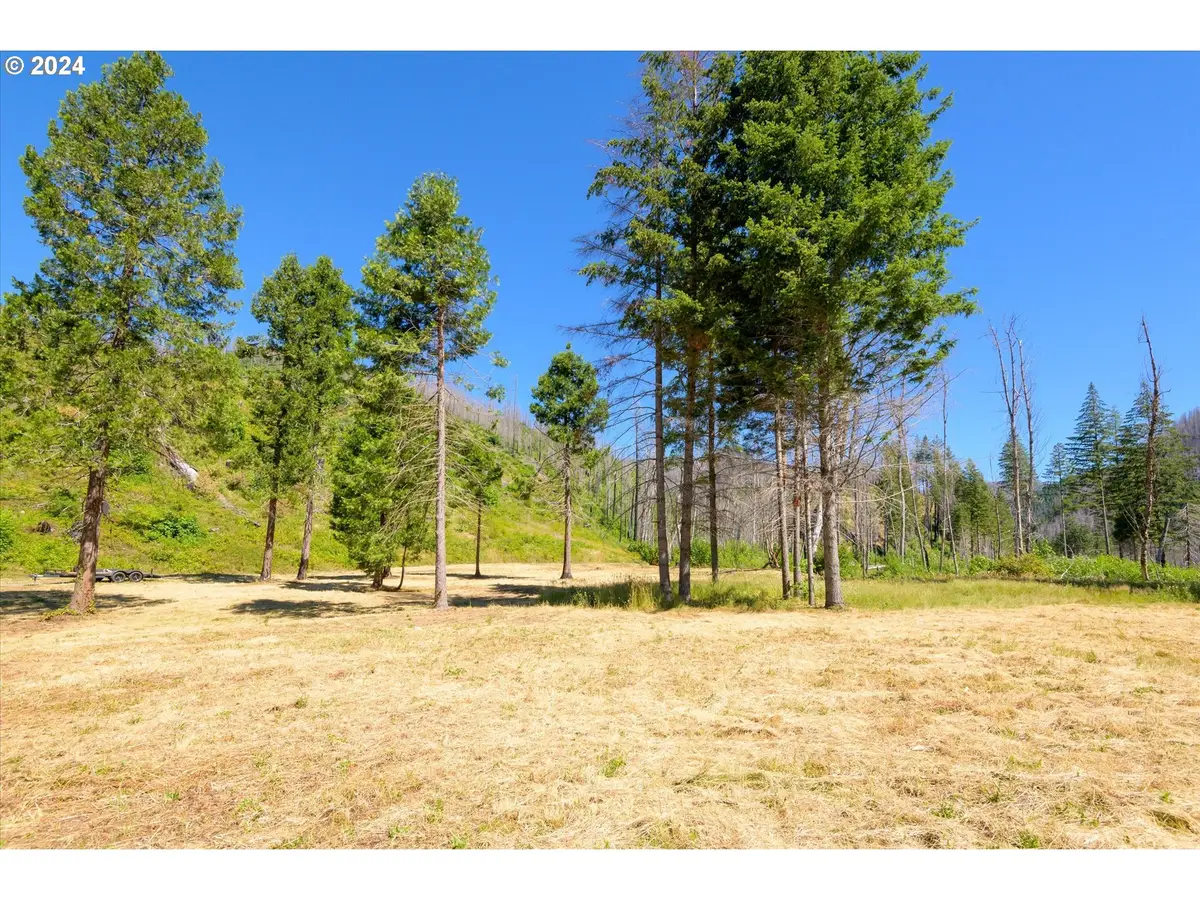 Blue River Rd, Eugene, OR 97401 - #1