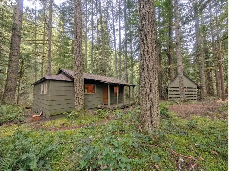 75106 E Road 28b, Rhododendron, OR 97049 - #2