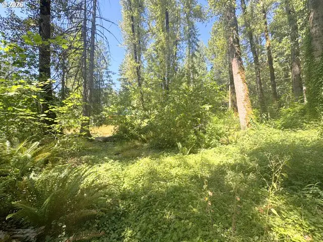 65425 E Timberline Dr, Rhododendron, OR 97049 - #1