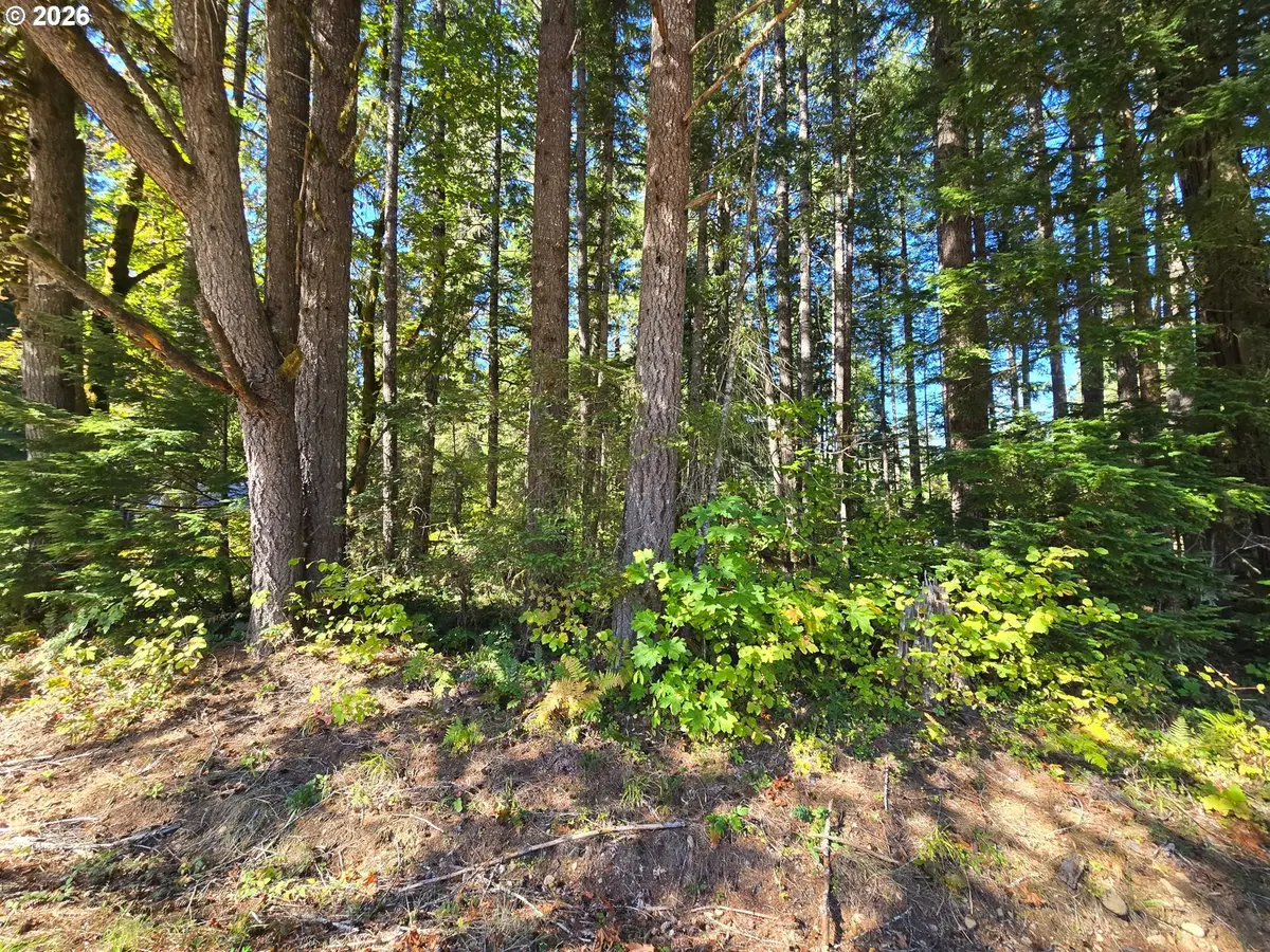1655144007400, McKenzie River, OR 97413 - #1
