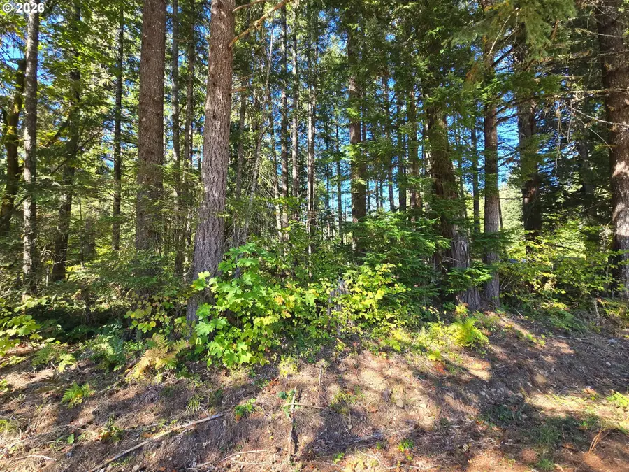 1655144007400, McKenzie River, OR 97413 - #3