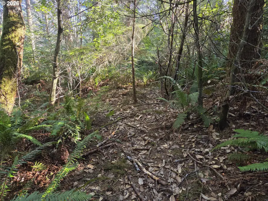 Greggs Creek Rd #300, Goldbeach, OR 97444 - Image #2