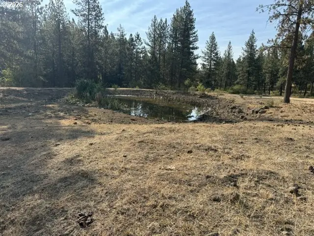 Wallowa Lake Hwy, Elgin, OR 97827 - #2