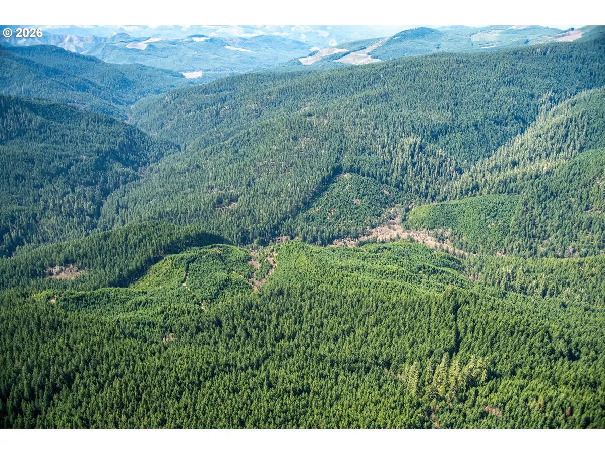 Usfs 71 Rd, Dorena, OR 97434 - #1