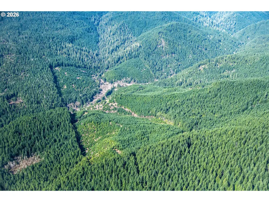 Usfs 71 Rd, Dorena, OR 97434 - #2