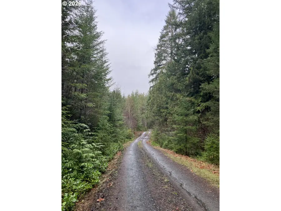 Usfs 71 Rd, Dorena, OR 97434 - #3