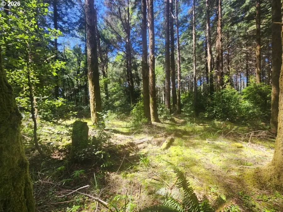 Cemetery Loop Rd #2200, Portorford, OR 97465 - #3