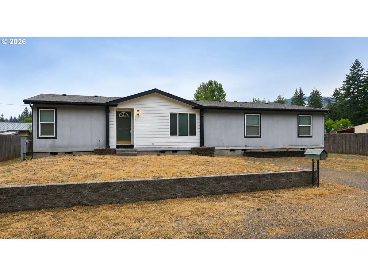 242 Dillingham Loop, Carson, WA 98610 - #1