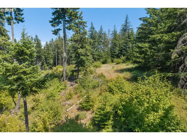15 Brookside Dr, WhiteSalmon, WA 98672
