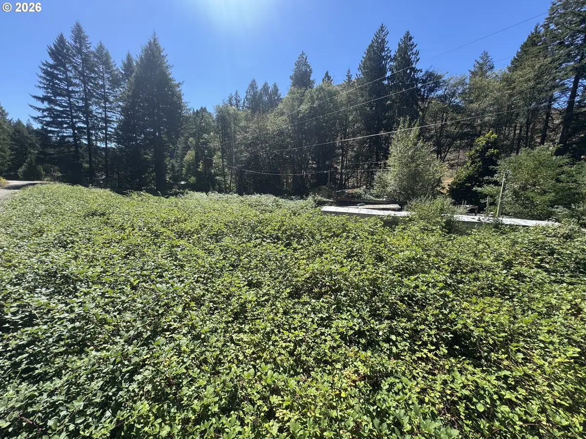 718 Lees Creek Rd, Myrtle Creek Riddle, OR 97457 - #1