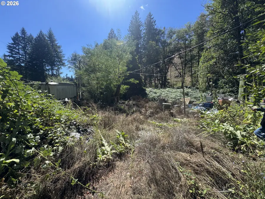 718 Lees Creek Rd, Myrtle Creek Riddle, OR 97457 - #2