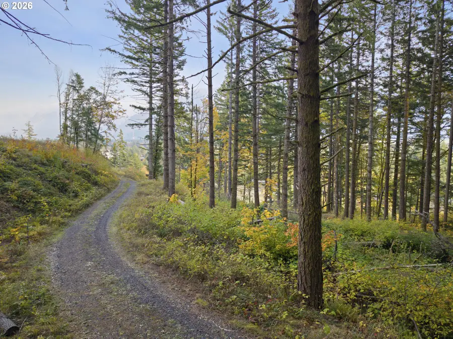 0 Warren Rd #3, North Bonneville, WA 98639 - #2