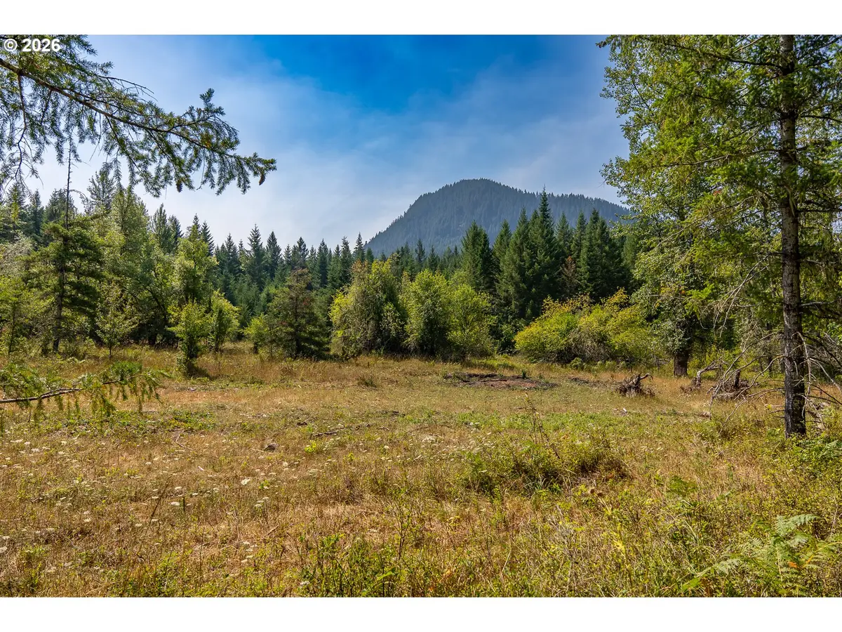 Hawk Meadows Rd #5, Carson, WA 98610 - #1