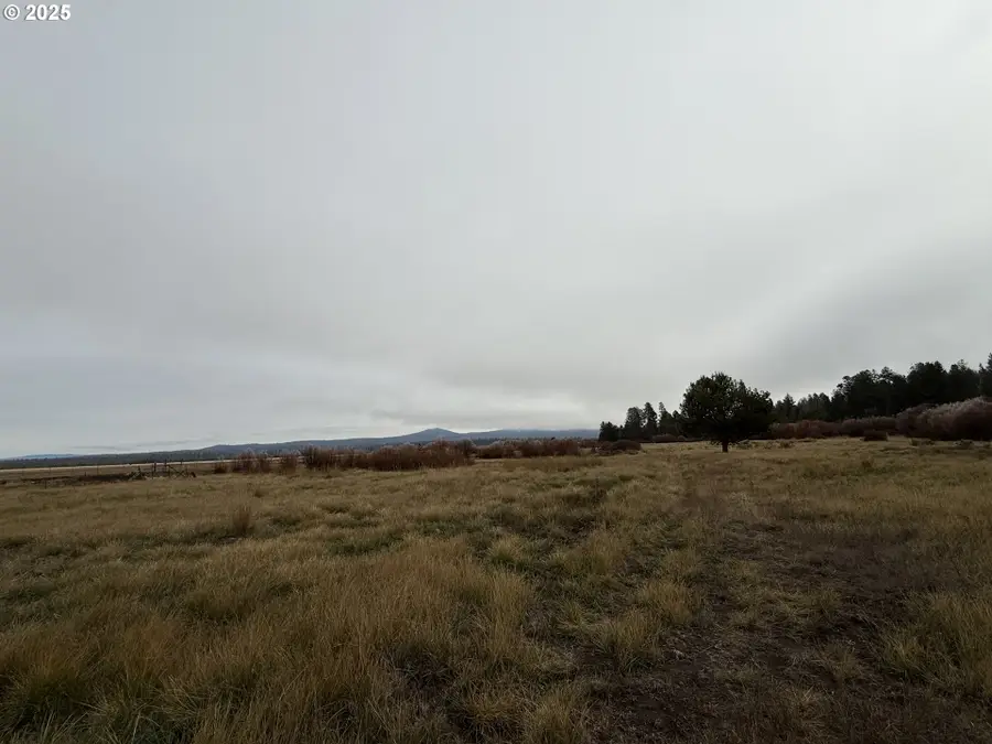 0 National Forest 7646 Rd, Unknown, OR 97624 - Image #3