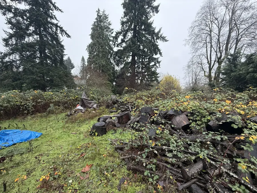 SW Schiller, Beaverton, OR 97225 - Image #2