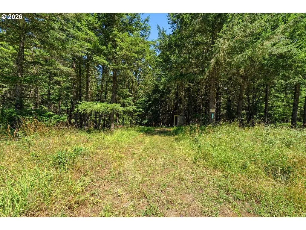 0 Mustang Dr, Oakland, OR 97462 - #1