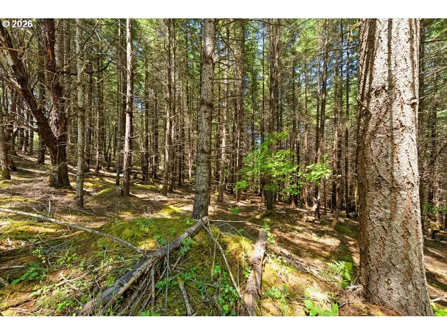 0 Mustang Dr, Oakland, OR 97462 - #3