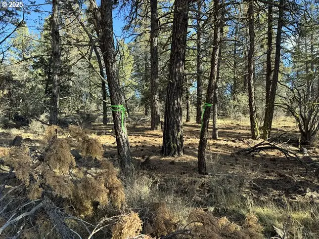 Bunting Drive #31, Bonanza, OR 97623 - Image #2