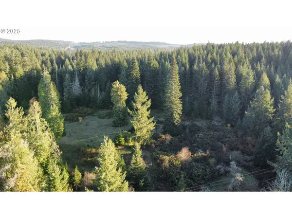 Hard Cash Ln, CamasValley, OR 97416