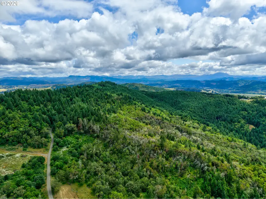 0 Wildflower Ln, Oakland, OR 97462 - #3