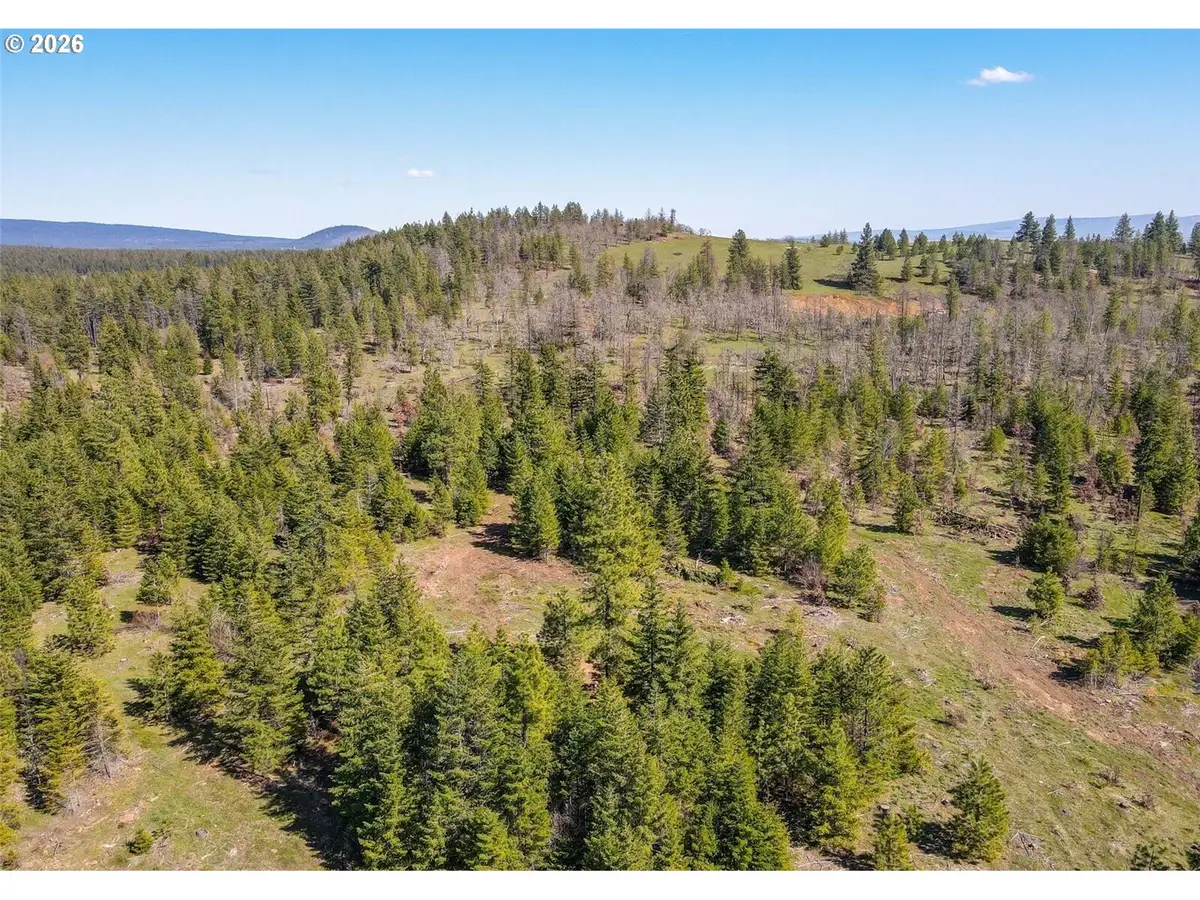 5 Sky Rd, Goldendale, WA 98620 - #1