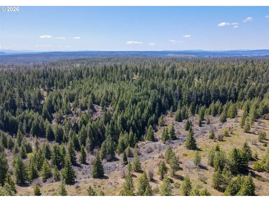 5 Sky Rd, Goldendale, WA 98620 - #3