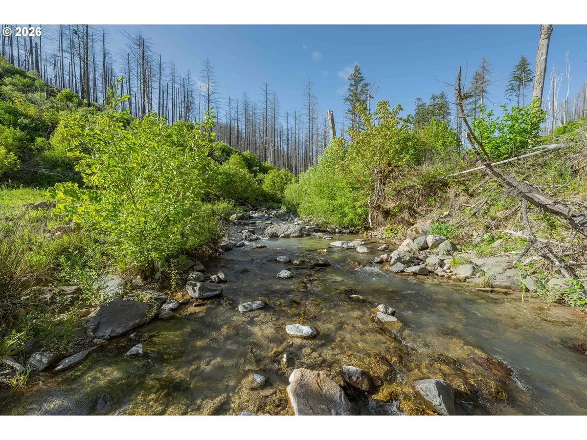 942 Honey Creek Rd, North Umpqua, OR 97447 - #1