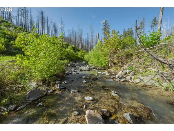 942 Honey Creek Rd, IdleyldPark, OR 97447