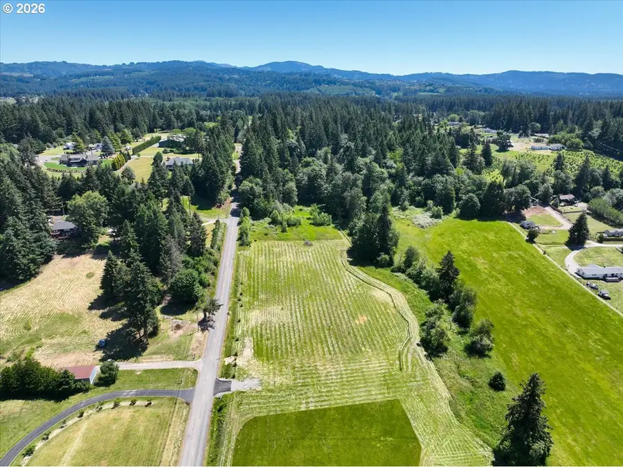 1 NE 144th St, Hockinson, WA 98606 - #2