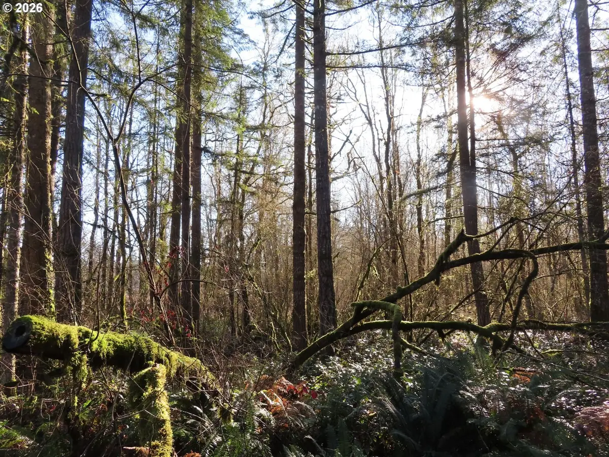 115 Campground Ln, Winlock, WA 98596 - #1