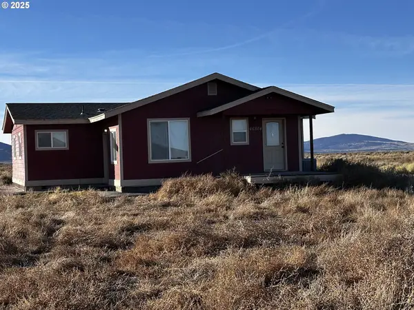 46864 Tucker Rd, ChristmasValley, OR 97641